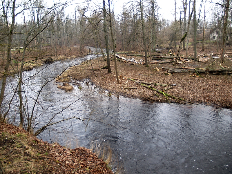 Jau vēstīts, ka tiltam Rīgas ielā tuvākās saliņas ziemā sāka attīrīt no aizauguma.
Autors: no «Bauskas Dzīves» arhīva