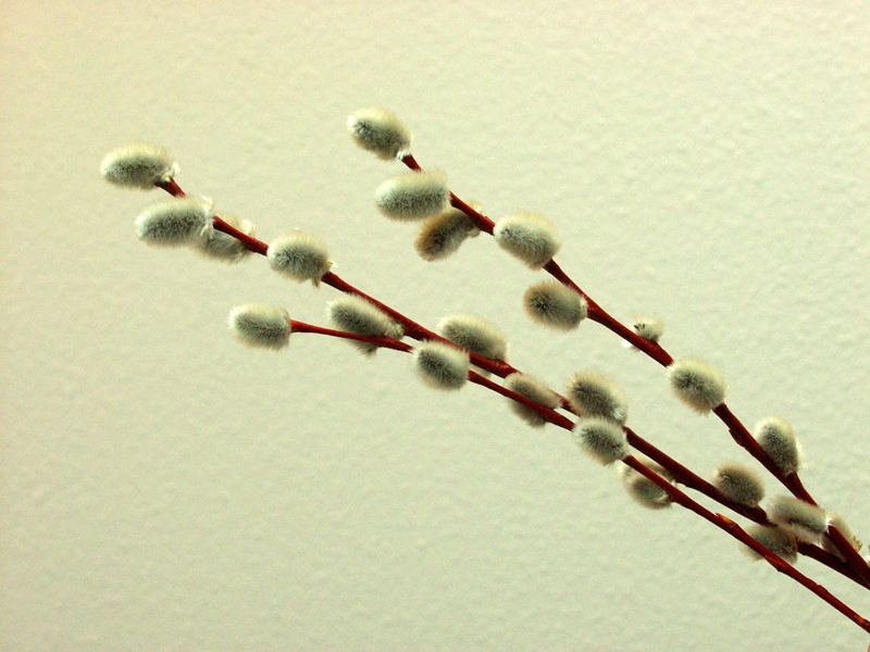 Autors: Ivars Bogdanovs