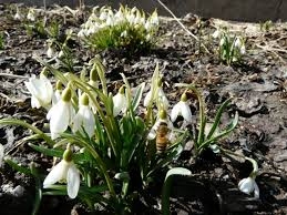 Autors: no dravnieks.lv