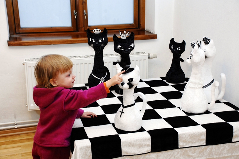 Šaha spēli vislabāk apgūt ar kaķiem. Noticējāt?
Autors: Foto – Ivars Bogdanovs