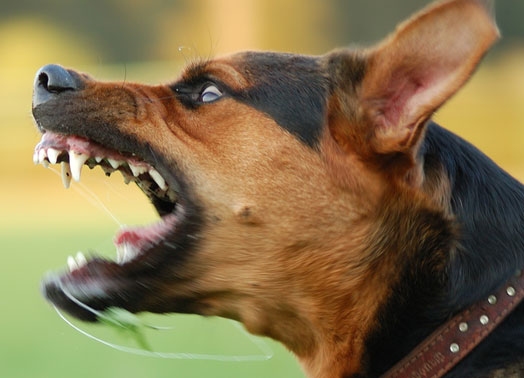 Attēlam ilustratīva nozīme.
Autors: no maija.mix.lv