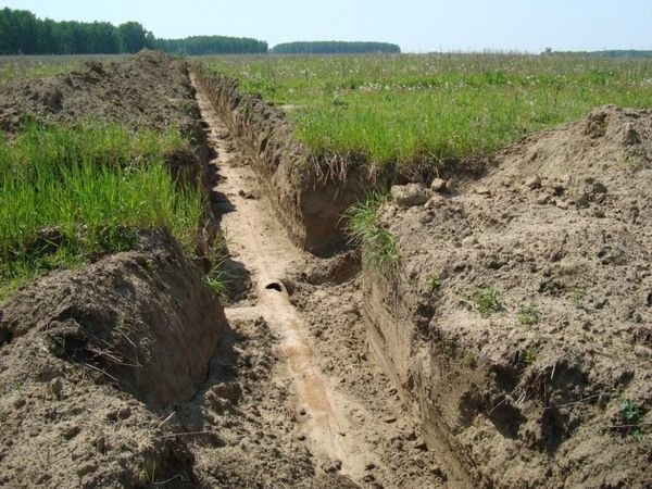 Autors: lvportals.lv