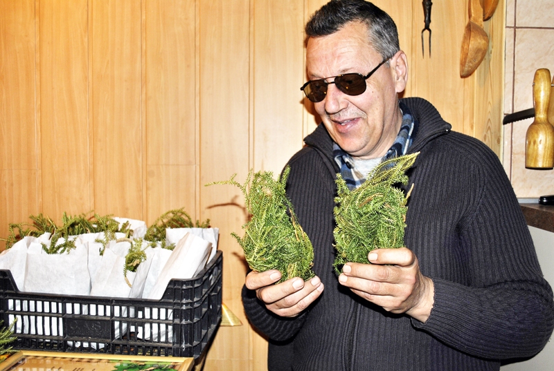 Aivars Kundziņš zāļu un pirts tēju vākšanu uzskata par ļoti nopietnu nodarbi. 
Autors: Foto – Māris Krūmiņš 