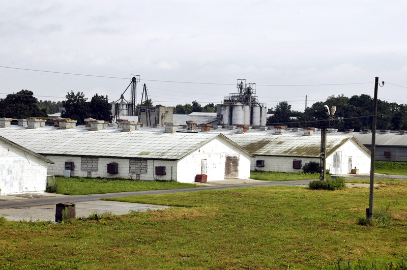 SIA «Lielzeltiņi» teritorija aizņem vairākus hektārus Bauskas pievārtē.
Autors: Foto no «Bauskas Dzīves» arhīva.