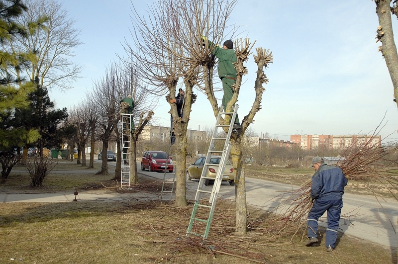 Autors: Ivars Bogdanovs