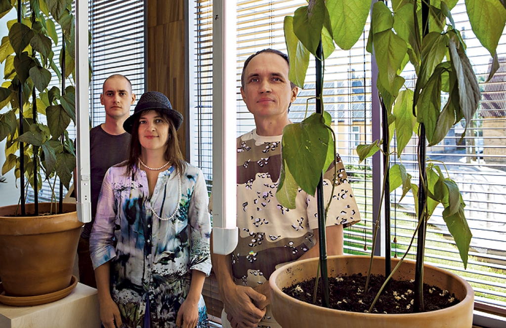 Aluksniesiem.lv raksta attēla aizvietotājs