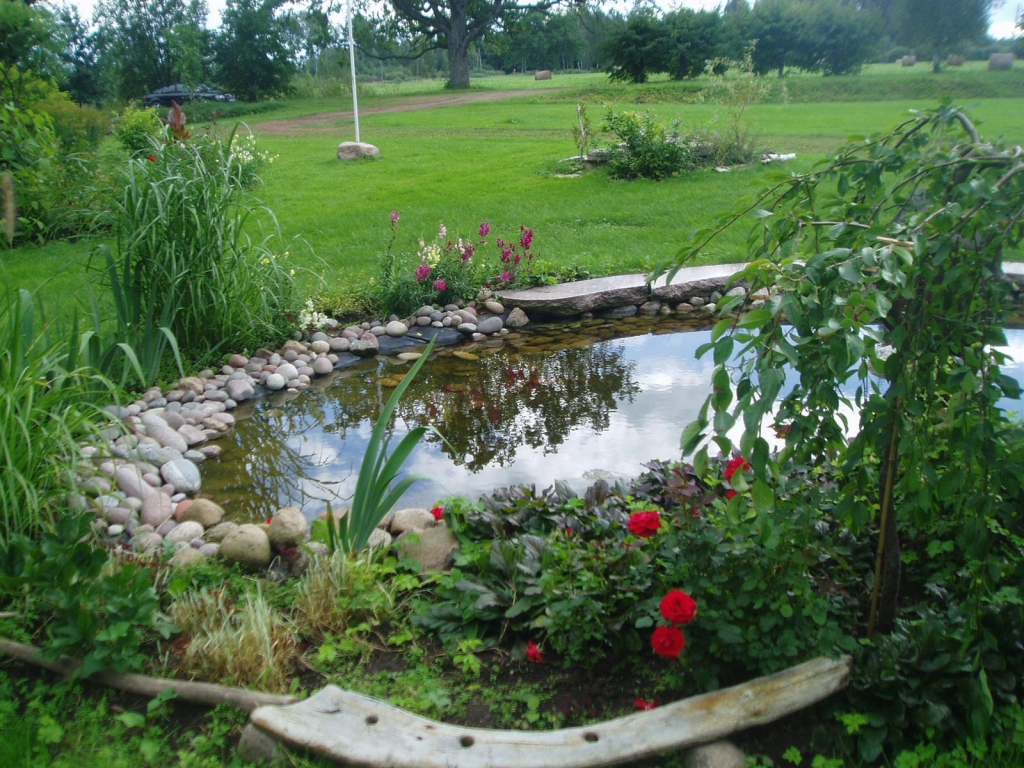 Autors: www.arstudio.lv