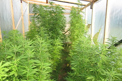 Autors: No policijas arhīva.