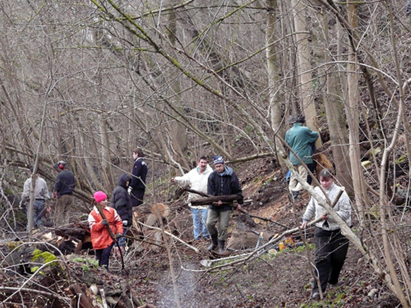 Autors: no «Bauskas Dzīves» arhīva