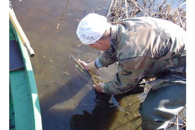 Fotoattēlam ilustratīva nozīme.
Autors: staburags.lv