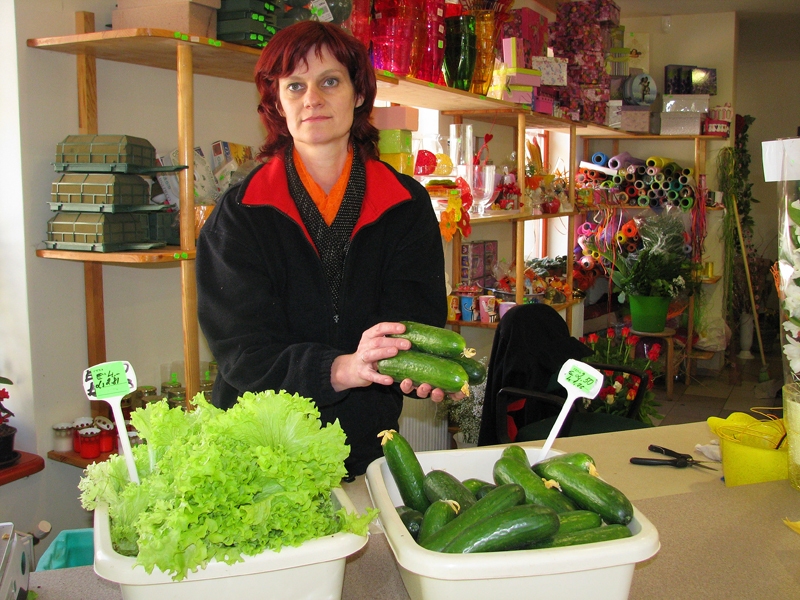 Veikala «Rozīte» pārdevēja Ilze Upeniece piedāvā iegādāties Gailīšu pagastā audzētos gurķus un salātus. 


Autors: Vilnis Auzāns