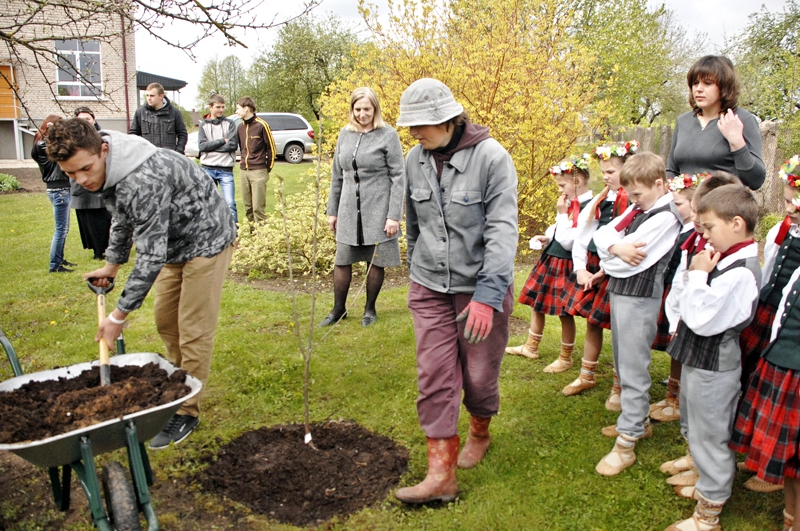 Iecavas internātpamatskolas devītās klases audzēkņi skolas pagalmā iestādīja ķiršu koku, kas simboliski atgādinās dārzu pie EP ēkas Strasbūrā.
Autors: Foto – Ivars Bogdanovs