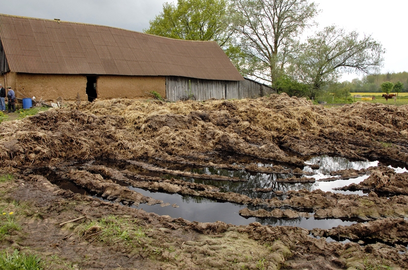 Mēslus atklātā kaudzē pēc sentēvu metodes no jūlija beigām vairs nedrīkstēs glabāt. 
Autors: Foto – Ivars Bogdanovs