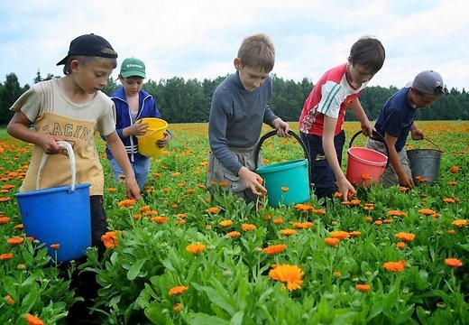 Fotoattēlam ilustratīva nozīme.
Autors: delfi.lv