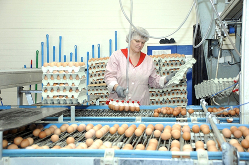 Uzņēmuma stratēģija ir produktu ar augstāku pievienoto vērtību ražošana.
Autors: Foto no «Bauskas Dzīves» arhīva.