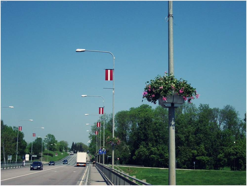 Puķes, kas stādītas augstajos podos tika izvēlētas ar mērķi, lai tām nebūtu vajadzīga  liela kopšana. Bauskā ziedu dzirdināšana parasti tiek veikta vakaros. «Vides serviss» darbinieki pat paši uzmeistarojuši ierīci ar kuras palīdzību puķes var laistīt no apakšas.
Autors: Publicitātes foto.