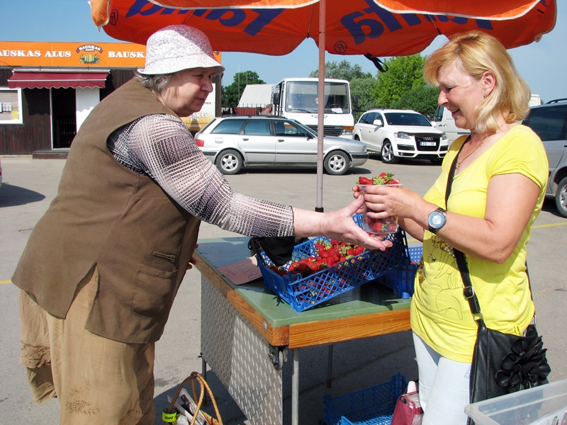 Bauzes tirgū baušķeniece Zita izvēlējusies puskilogramu zemeņu, kas audzētas Maijas Bulas dārzā Gailīšu pagastā. 
Autors: Vilnis Auzāns