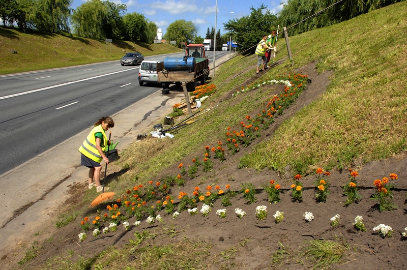 Vecie dolomīta akmeņi savu laiku jau bija nokalpojuši, tāpēc tika demontēti, bet arkas ieguvušas krāšņu vasaras ziedu akcentu.
  
Autors: Ivars Bogdanovs