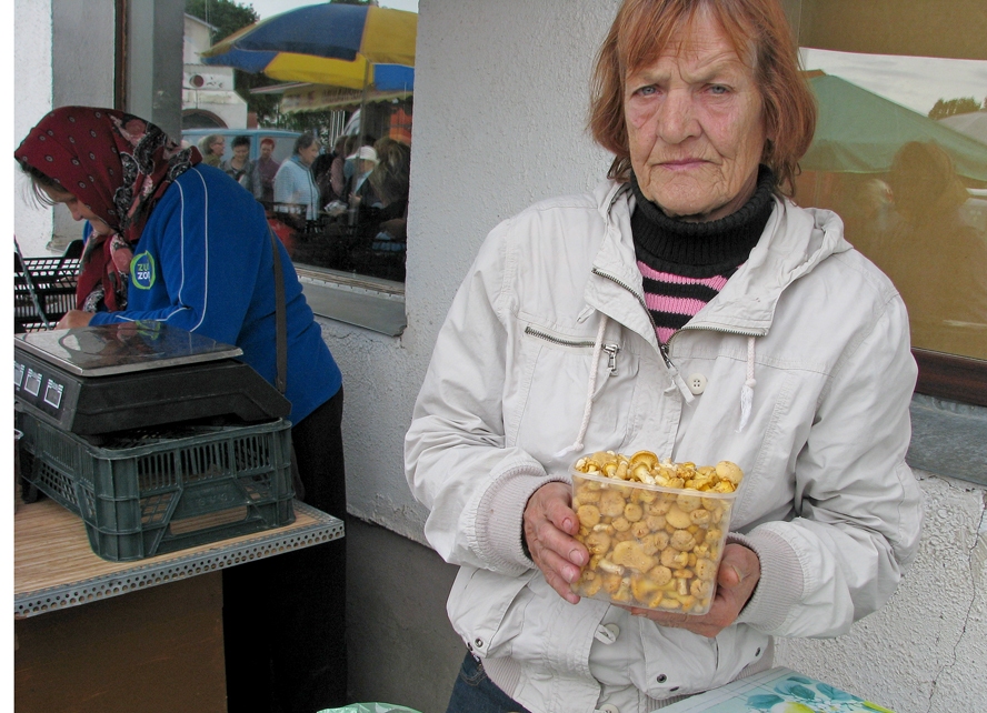 Edīte Šutova trešdienas, 18. jūnija, rītā Bauzes tirgū iztirgoja četrus litrus gaileņu. 
Autors: Vilnis Auzāns