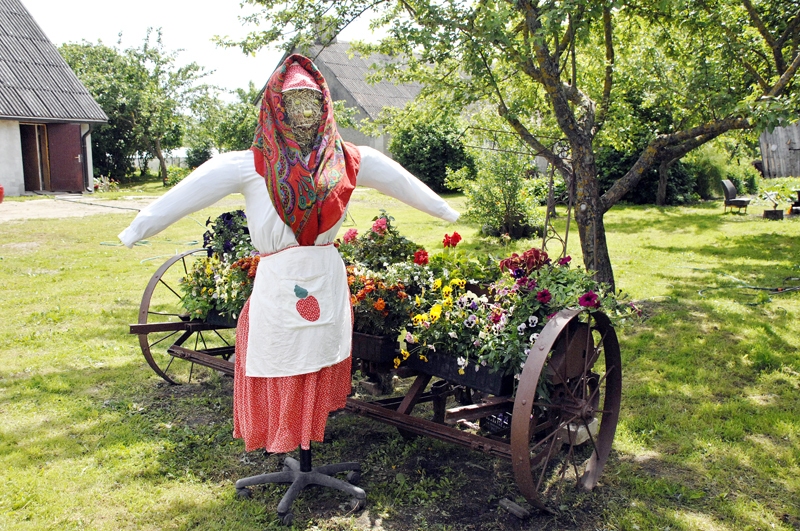 
«Jaunlejnieku» saimniece Anna Truntika speciāli Zemeņu dienas pasākumam izgatavojusi savu dubultnieci no salmiem, kas viesmīlīgi ar ogu groziņu rokās sestdien sagaidīs svētku dalībniekus. 
Autors: Ivars Bogdanovs