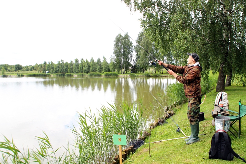 Jānis Zvirbulis cenšas pievilināt «Makšķernieku paradīzes» karpas.
Autors: Foto – Uldis Varnevičs