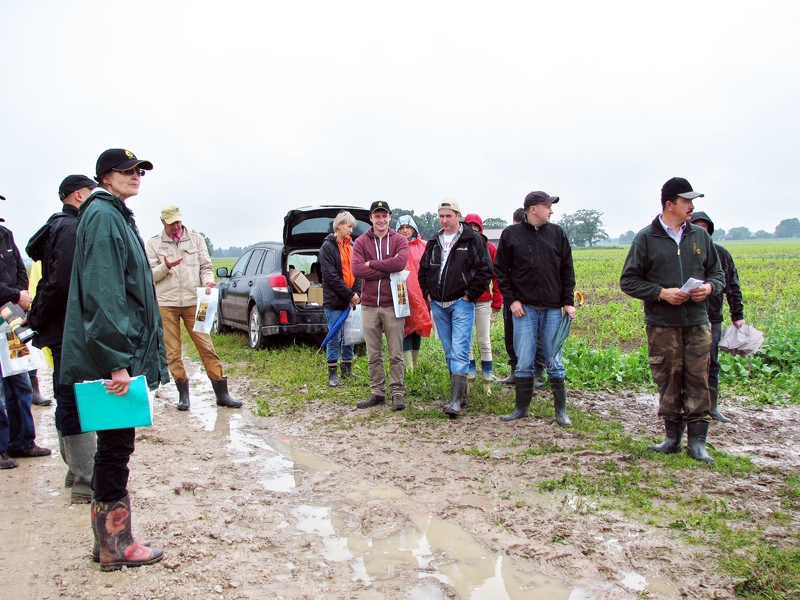 Codē lauku dienas dalībnieki, tērpušies lietusmēteļos un gumijas zābakiem kājās, gatavi apskatīt zemnieka Arnolda Jātnieka (no labās) rapšu laukus.
Autors: Foto – Vilnis Auzāns