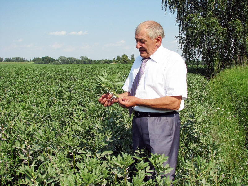 Leons Čakāns, brunavietis, ilggadējs, tagad jau pensionēts agronoms, vērtē kaimiņu ģimenes lauka pupu sējumus un spriež, ka tās ir labs augsnes ielabotājs, salīdzināmas ar pamatīgu kūtsmēslu devu.
Autors: Foto – Vilnis Auzāns