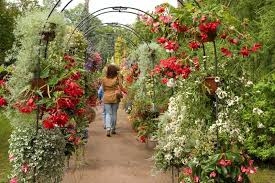 Autors: no www.liveriga.com