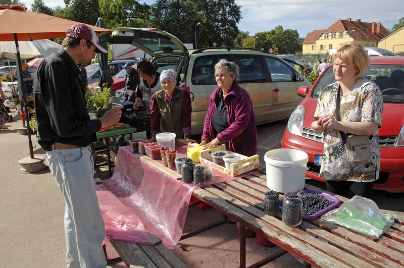Bauzes tirgū Bauskā rit ogu tirdzniecība – tās lasītas pašu dārzos vai tuvējos mežos. Pārdevējas (no labās) Kristina Timofejeva no Vecumnieku novada Misas un  baušķeniece Danuta Mielīte.

Autors: Ivars Bogdanovs