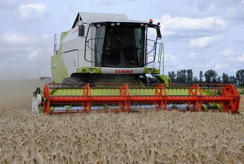 Autors: no «Bauskas Dzīves» arhīva.