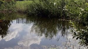 Attēlam ilustratīva nozīme.
Autors: no 