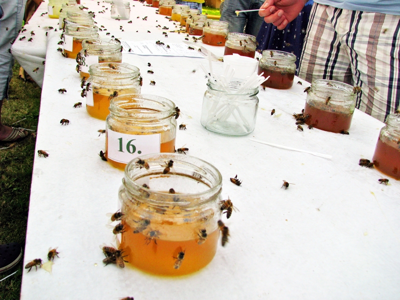 Medus degustācija pievilināja vairāk bišu nekā cilvēku.
Autors: Foto – Vilnis Auzāns