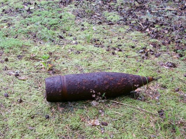 Autors: No «Bauskas Dzīves» arhīva.