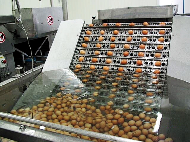 Autors: no uzņēmuma albuma