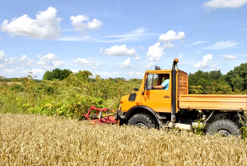 Individuālais komersants Arkādijs Makruzovs ar specializēto tehniku palīdz Rundāles novada pašvaldībai cīnīties ar latvāņiem.


Autors: Māris Krūmiņš