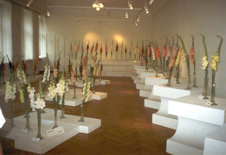 Autors: www.gladiolus.lv