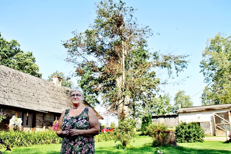 Anita Vismane, «Naiku» saimniece, kopā ar ģimeni kopj lauku sētu un rūpējas par māju.
Autors: Uldis Varnevičs