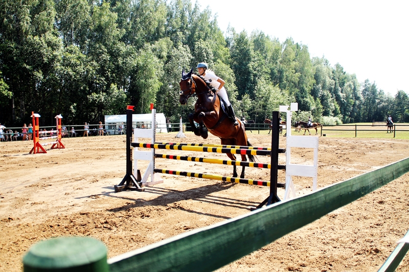 Velga Marčenkova ar zirgu Ledionu pārvar šķēršļus.
Autors: Uldis Varnevičs