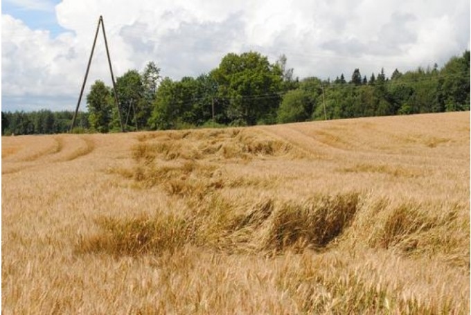 Fotoattēlam ilustratīva nozīme.
Autors: staburags.lv