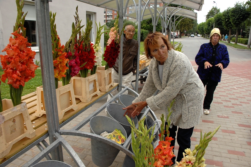 Ilggadējā ziedu tirgotāja Laima Straumane pārliecināta, ka metāla spaiņi ir jāskrūvē nost, jo tie nav praktiski lietošanai. 
Autors: Ivars Bogdanovs