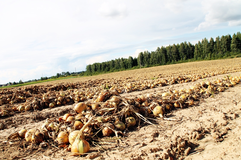 Autors: Uldis Varnevičs