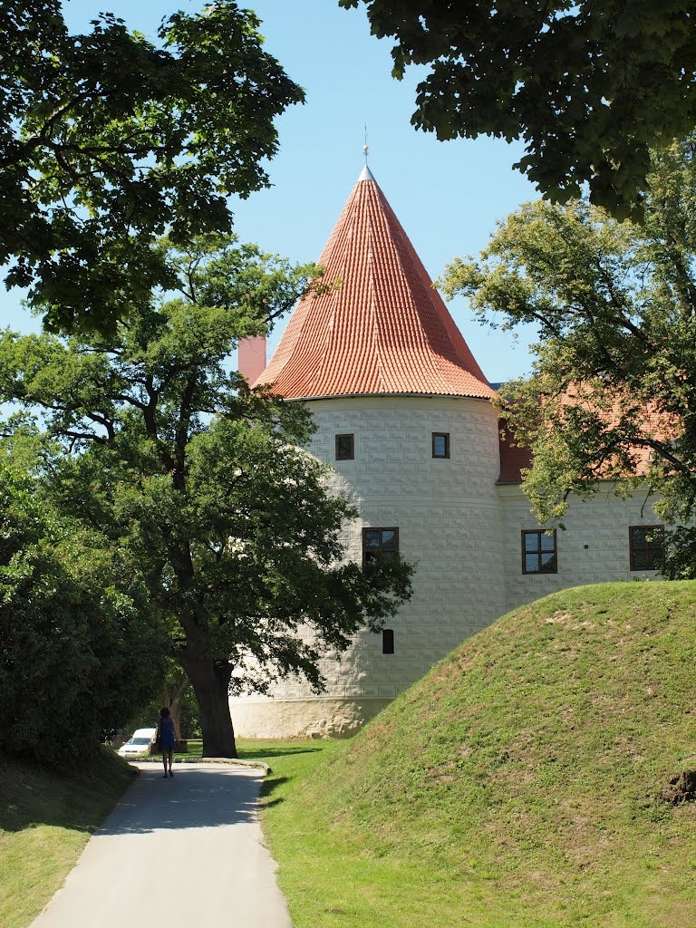 Aluksniesiem.lv raksta attēla aizvietotājs
