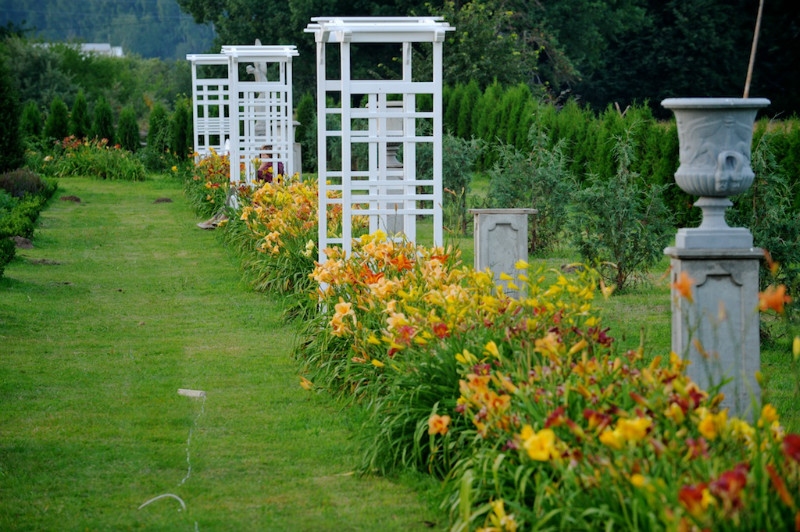 Autors:  www.bruknaskopiena.lv