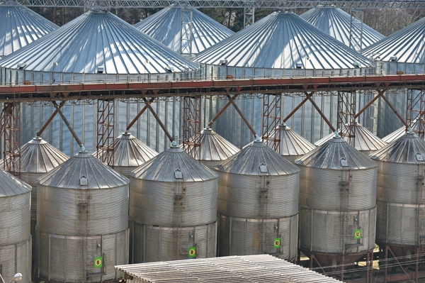  «Balticovo» ir lielākais lopbarības graudu uzpircējs Latvijā. 
Autors: iecava.lv