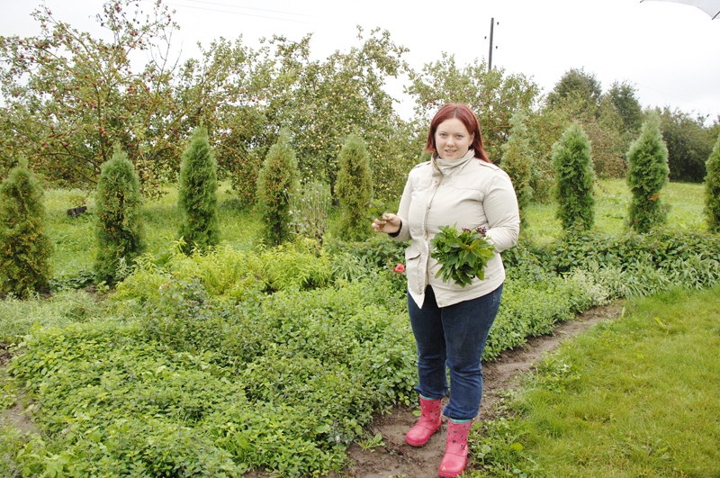 Sandra Marcinkēviča atzīst, ka garšaugu audzēšana ir viņas aizraušanās. Dārzā aug vismaz 20 dažādas garšaugu šķirnes.
Autors: Ivars Bogdanovs