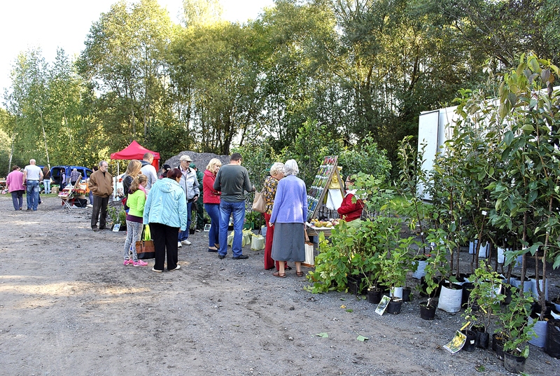 Liels pieprasījums Vecumnieku gadatirgū bija pēc augļkokiem.