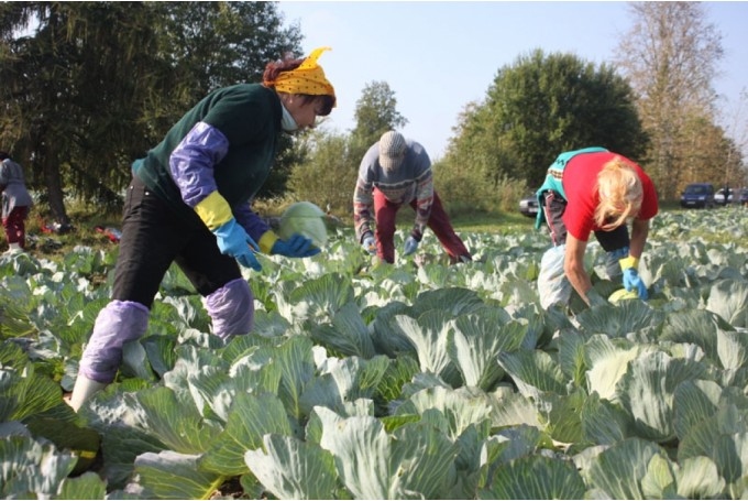Fotoattēlam ilustratīva nozīme.