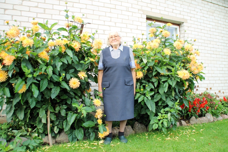 Jubilāre Lūcija Saulīte vēl aizvien apkopj dārzu pie mājas un puķes.
Autors: Uldis Varnevičs
