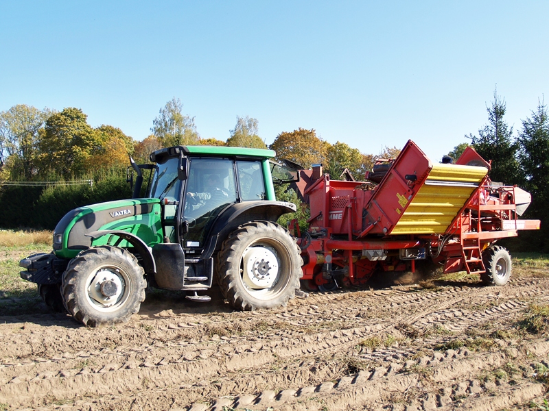 Kartupeļu kombainu vagās vada Aļģis Kovaļausks, viens no saimniecību «Upeskalni» un «Mazvizbuļi» 20 strādniekiem.
Autors: Madara Ērgle