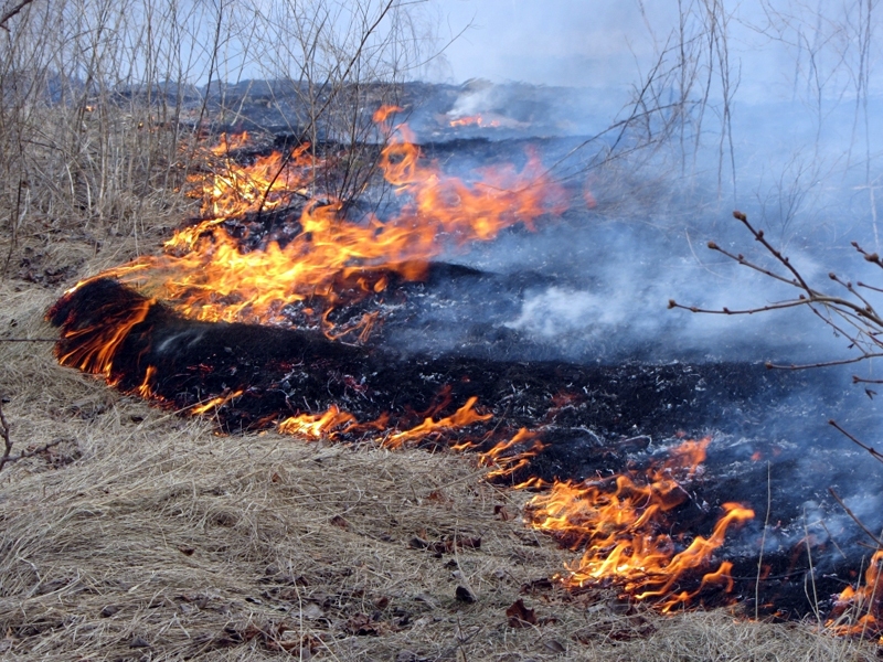 Autors: no «Bauskas Dzīves» arhīva.